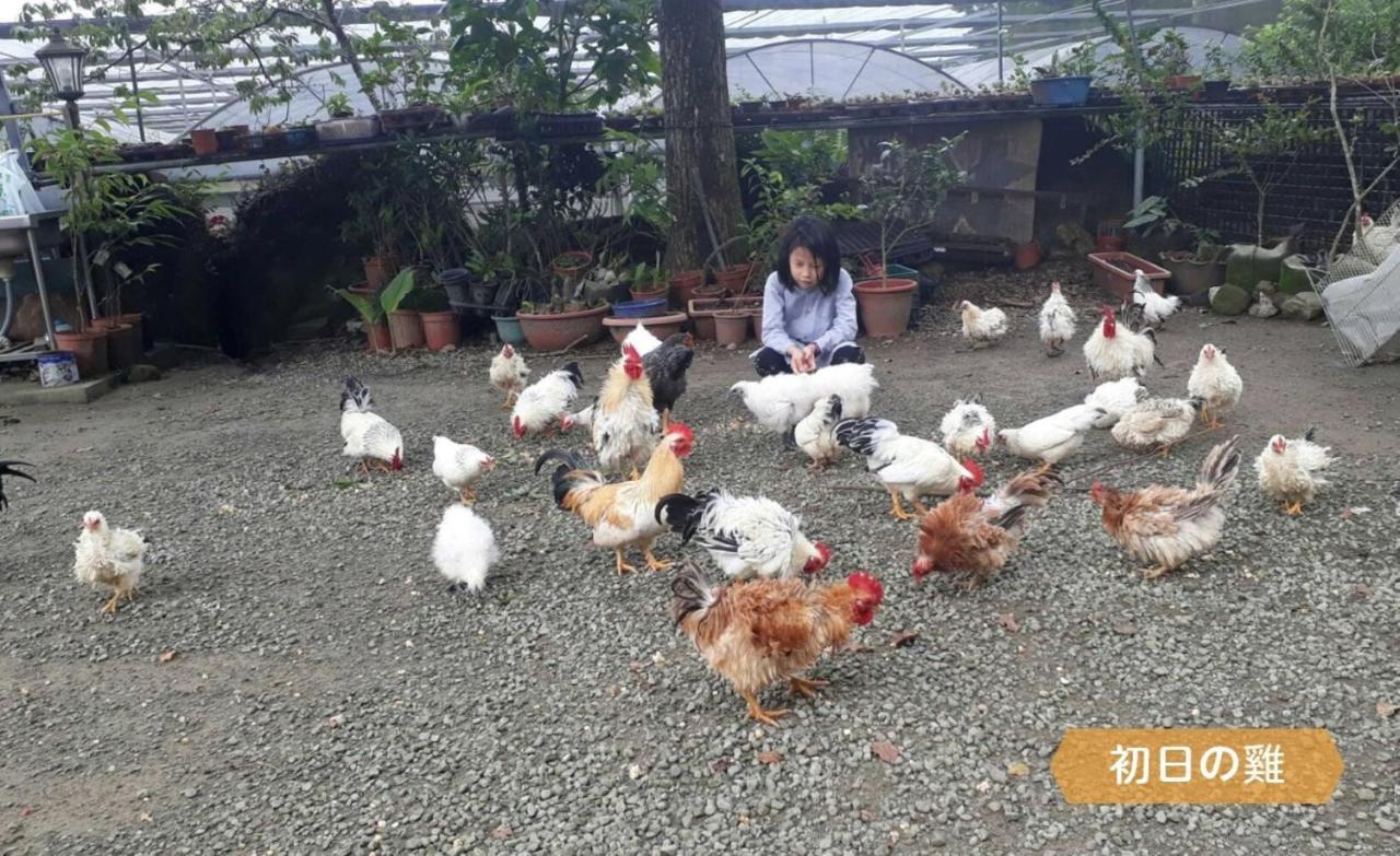 Alishan Sunrise B&B Fanlu Экстерьер фото